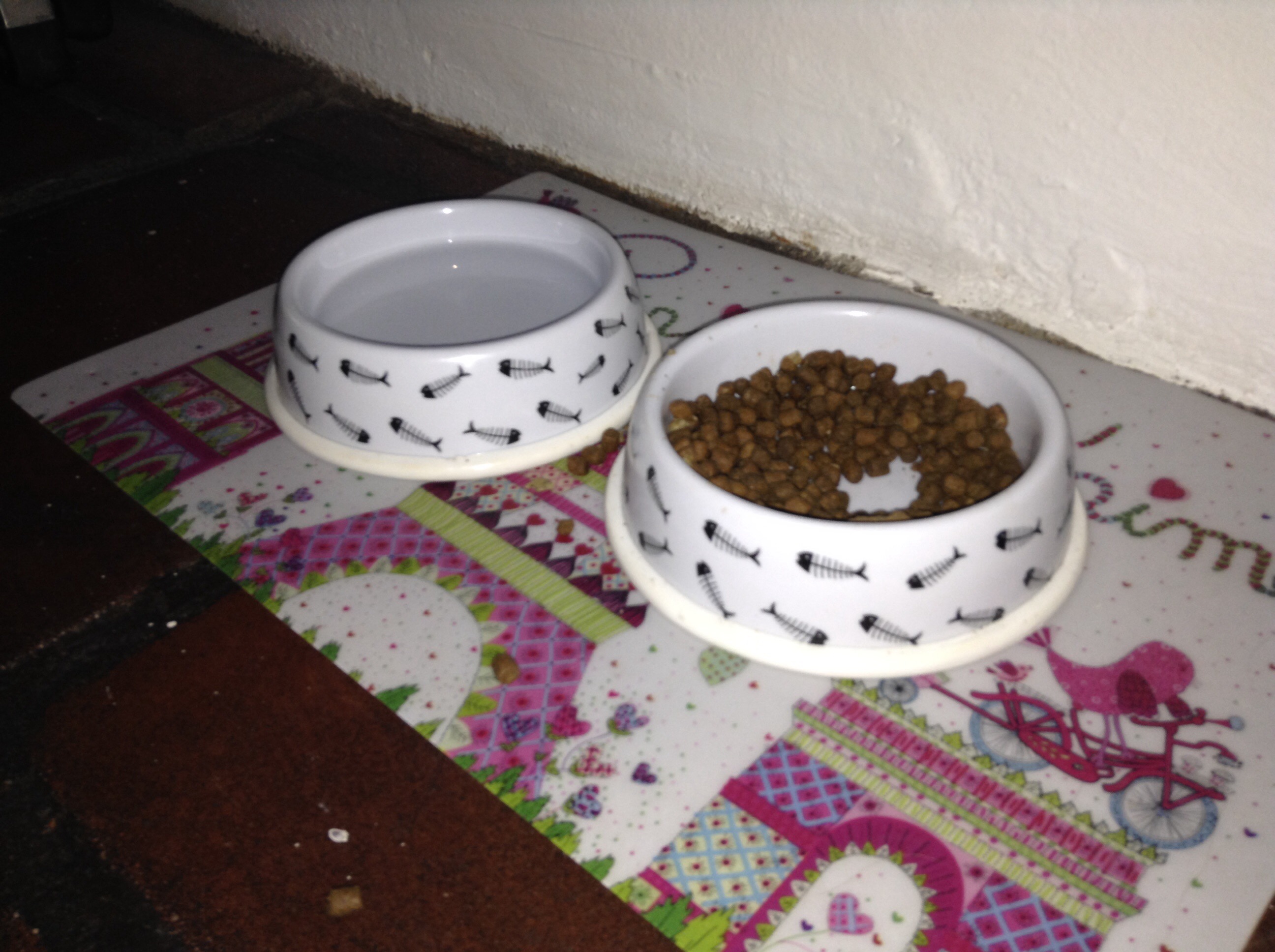 Tazones con comida y agua para gato