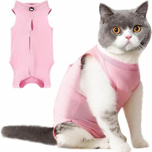 Gato con traje de recuperación rosado