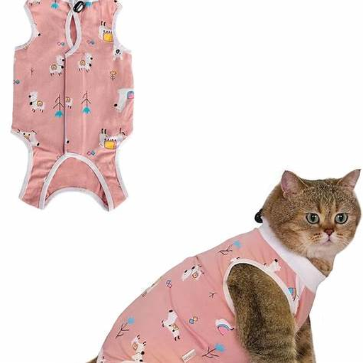 Gato con body quirúrgico rosado