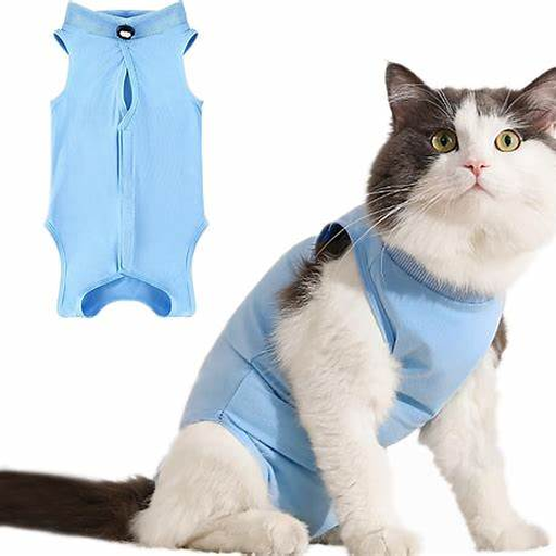 Gato con body o prenda de recuperación azul